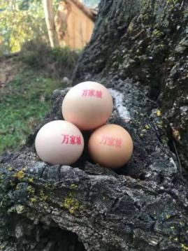 “团团大集”已近尾声，还没购置年货的小伙伴继续购购购