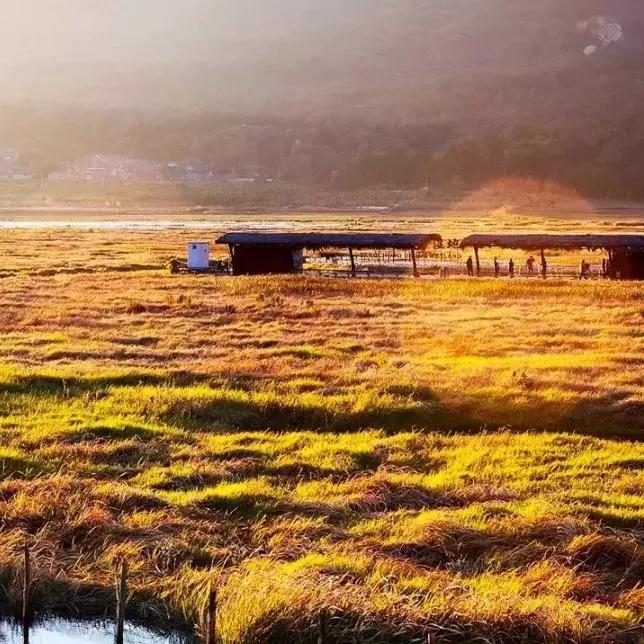 跟着徐霞客游记去旅行,徐霞客的朋友圈