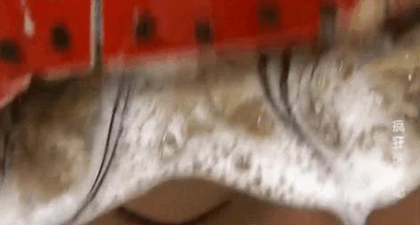 手搓潜水艇,手搓遥控潜艇