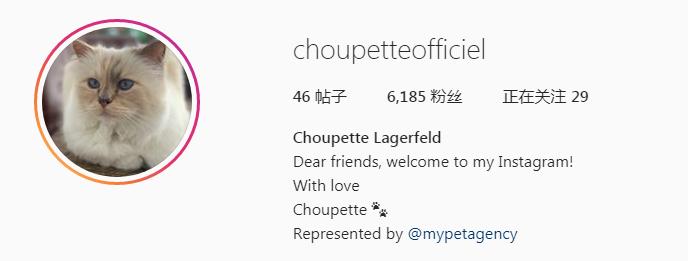 21亿遗产的猫现在怎么样了,失踪多年的猫终于回来了