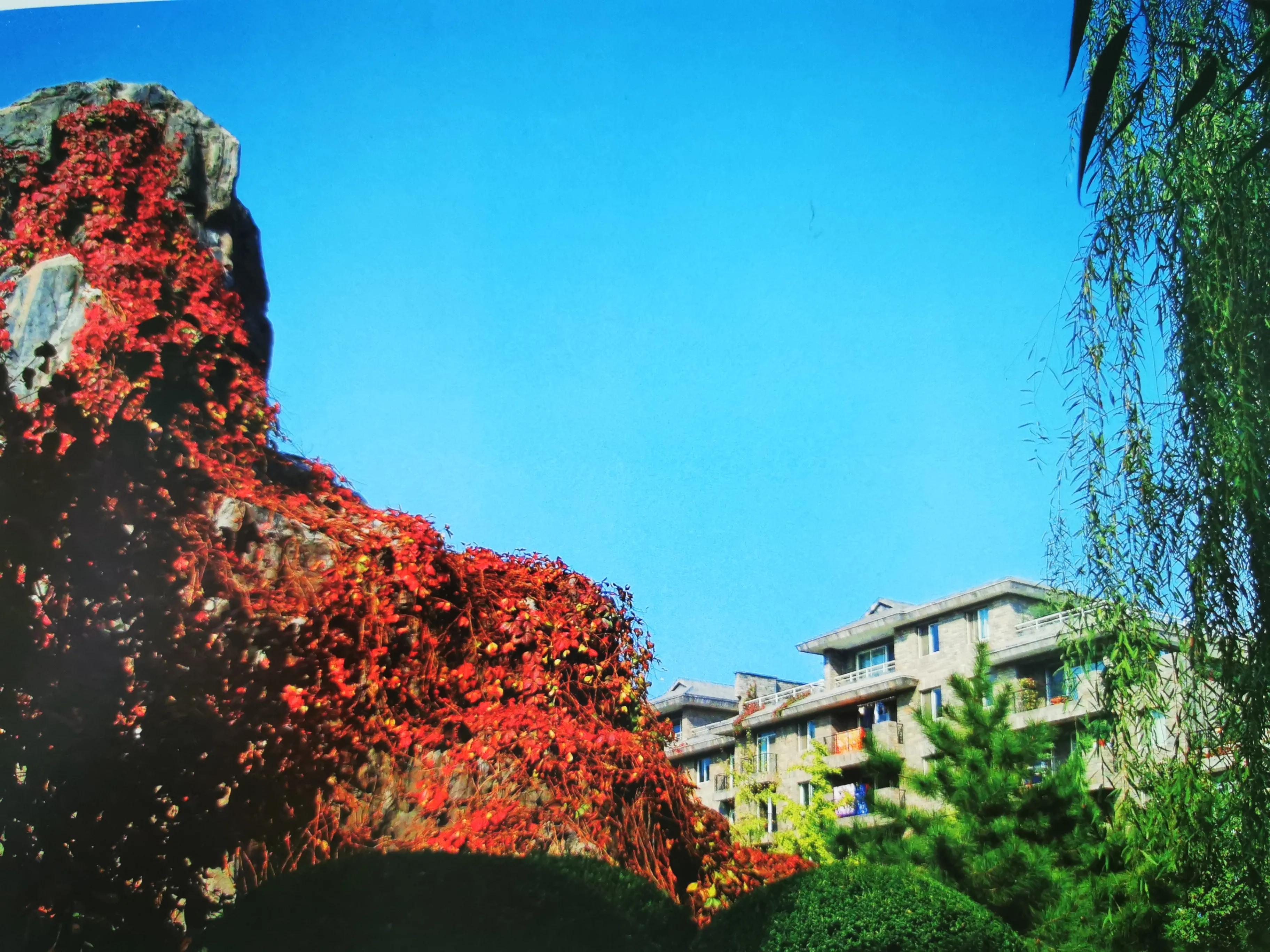 群贤庄老洋房,西安群贤庄