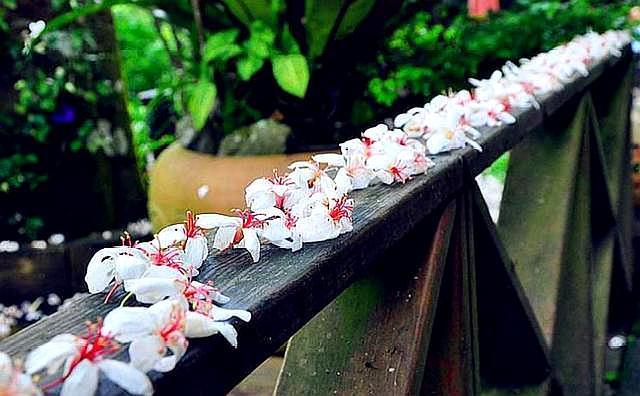 写给正在老去的60后感悟人生,写给60后歌