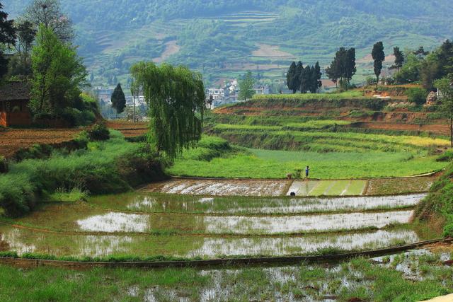 散文：乡翁杵杖骂田荒