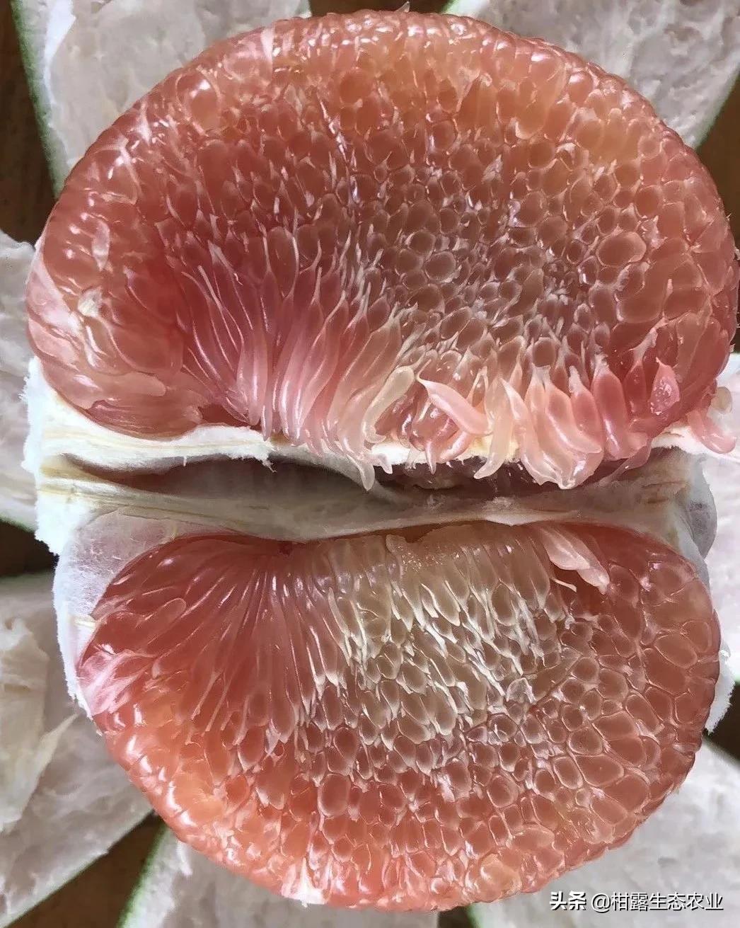 泰国红宝石柚2020价格,泰国红宝石柚树低价出售