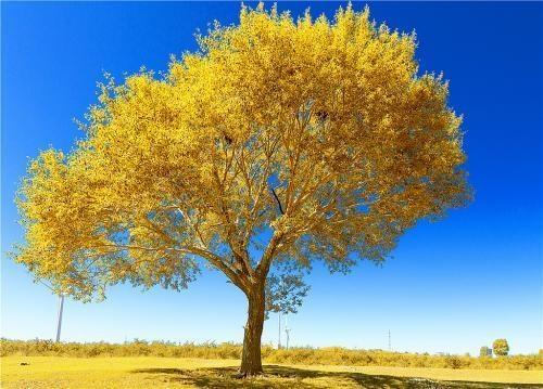 人生感悟一段很现实的话,人生感悟文案