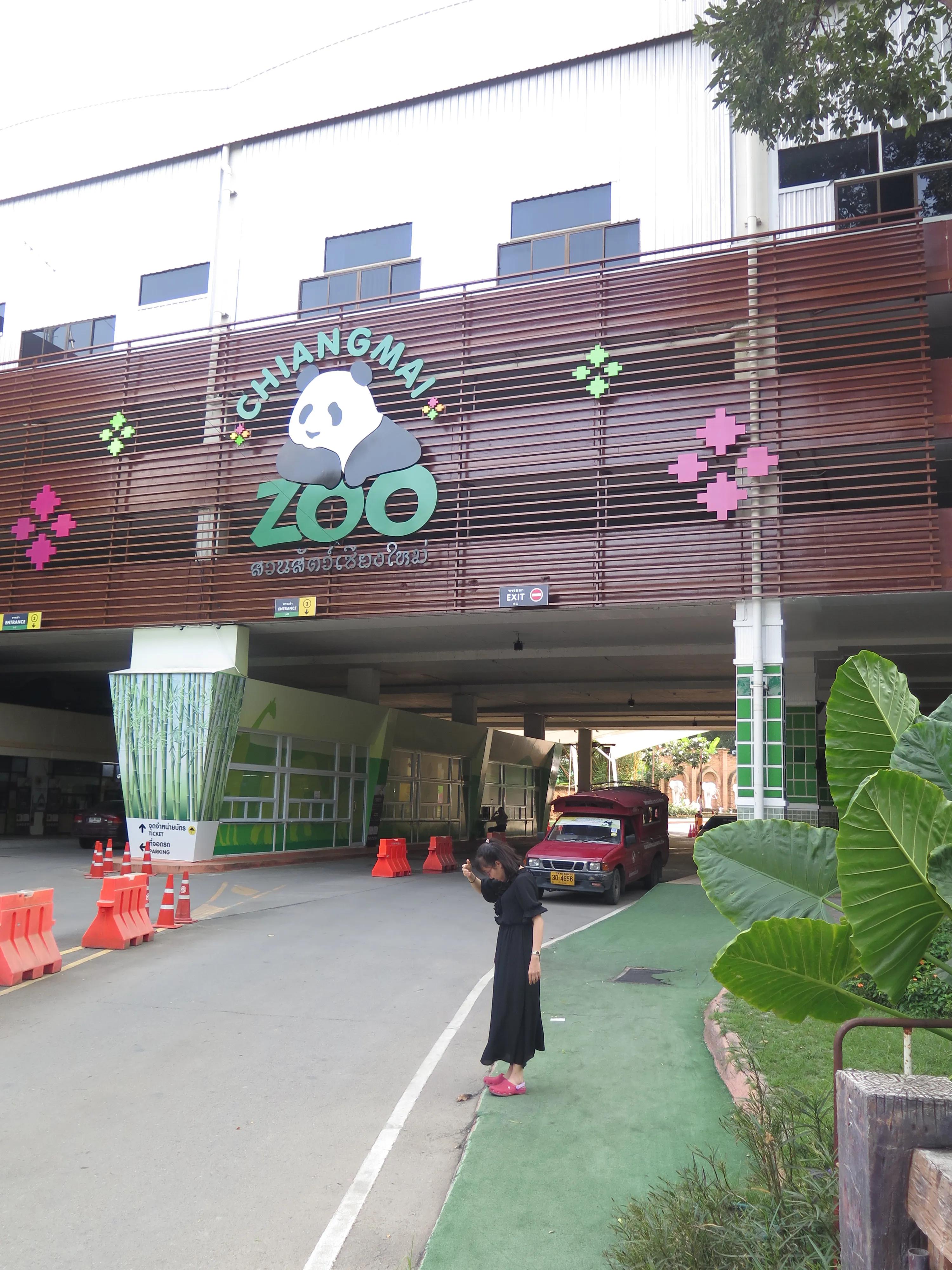 泰国旅游必备攻略值得收藏起来,去泰国旅游必须看的10件事