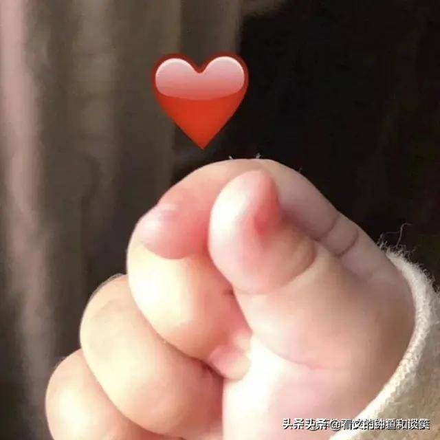 嘘帝宫有兽重生 (嘘帝宫有兽重生水杉)