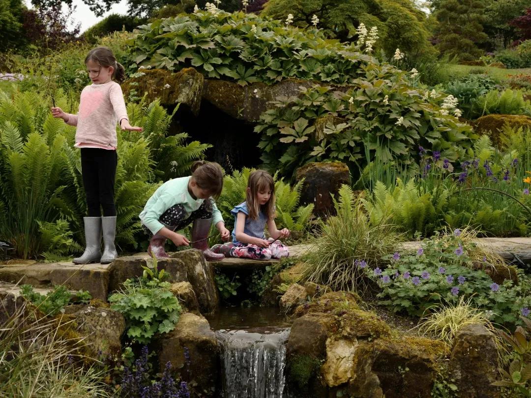 建一座完全不打药的生态花园,所有生命在这里和谐共处,值得收藏