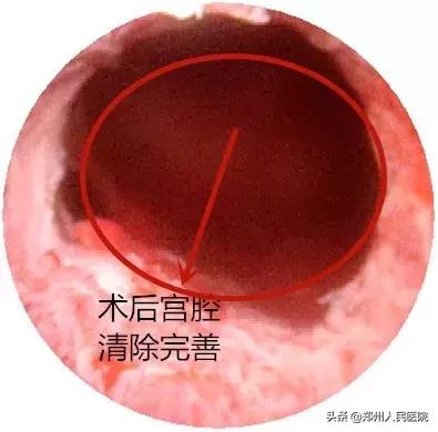 这个小镜子,照看着世上最贵的“房子”