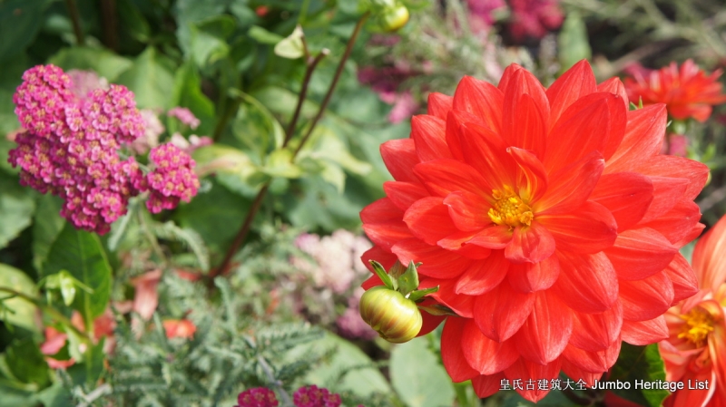 第29回：名校毕业风光不再，穹顶之下天空湛蓝