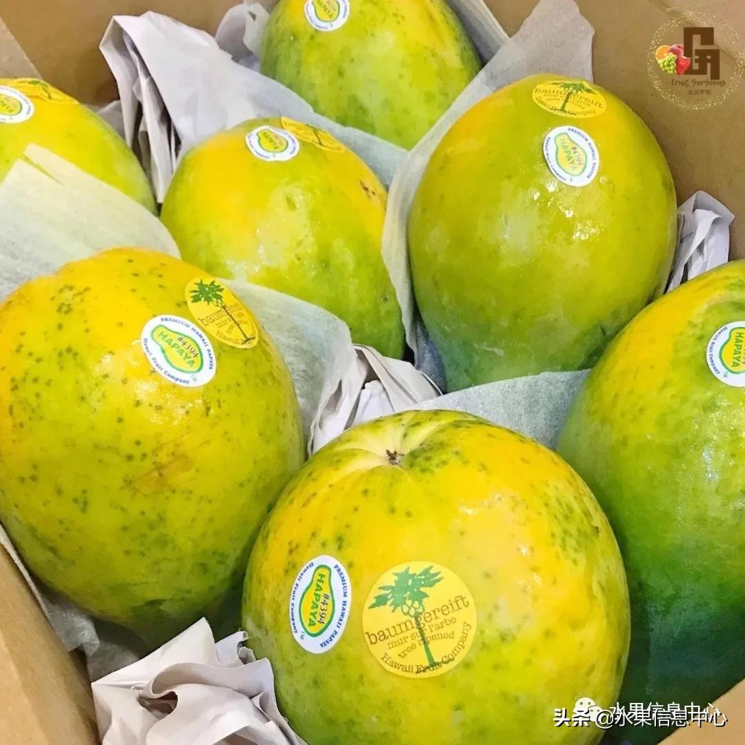 进口水果生意年入千万,批发水果月入百万