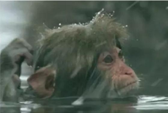 金融人眼中的自己,一个懂金融和不懂金融的人的区别