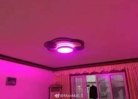 每一个爸妈都是灵魂室内设计师！看完想离家出走……