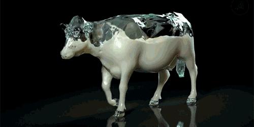 澳洲a2十大放心奶粉排行测评,澳洲无乳糖奶粉排行榜前十名