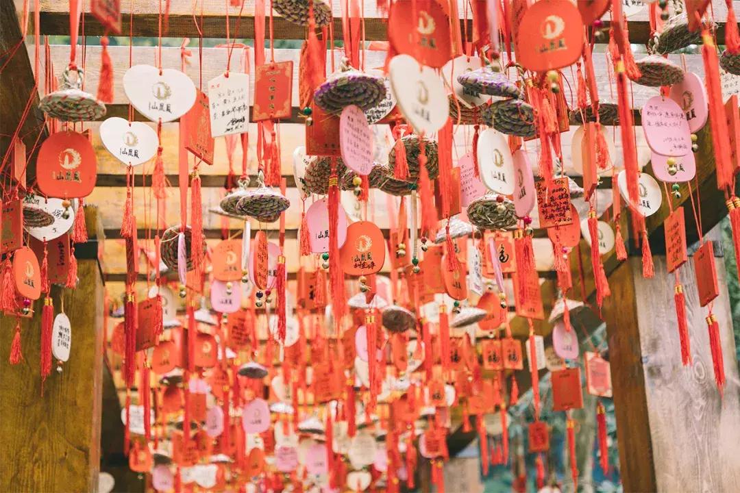 深圳这座城市很美,深圳这座城市风景太美了