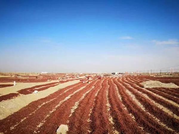 这里有一份来自和田的“爱心大礼包”等你查收