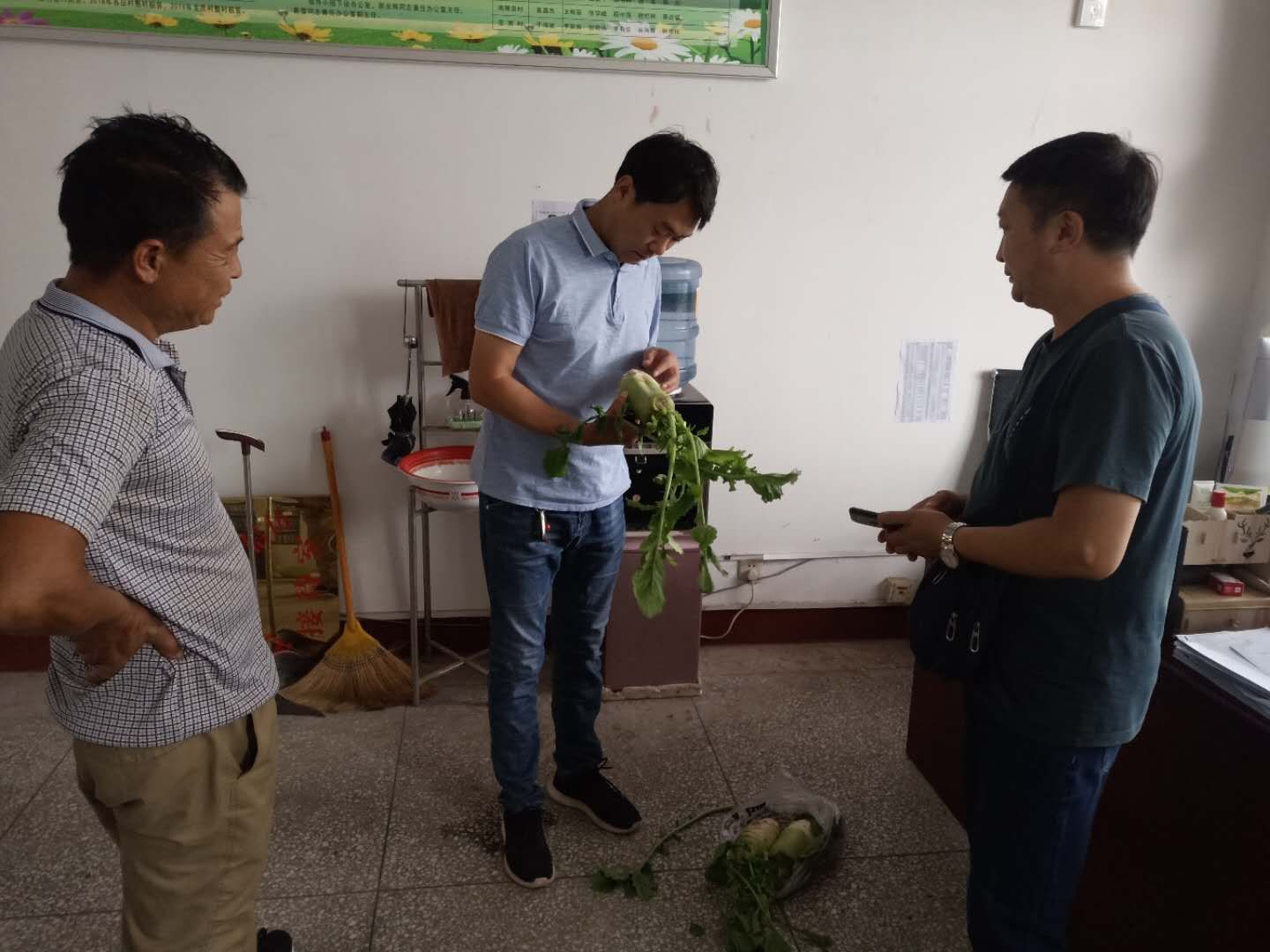 汤阴瓦岗:扶贫路上无小事一颗萝卜见初心