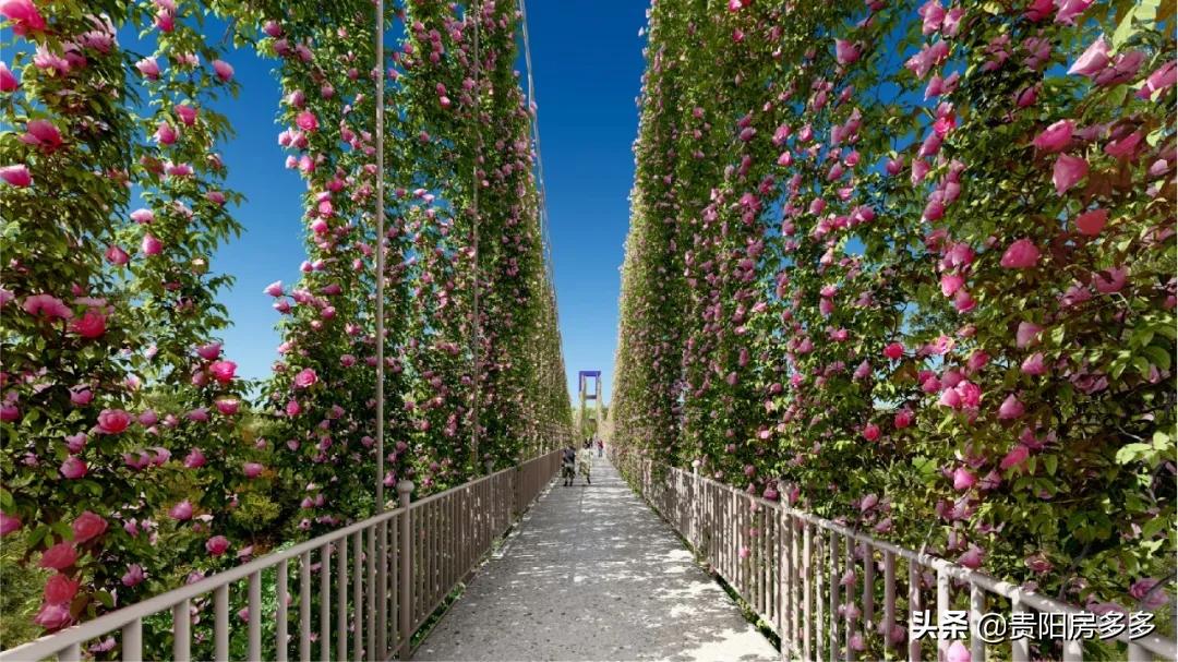 贵阳双龙航空经济开发区未来发展,贵阳双龙新区未来规划图