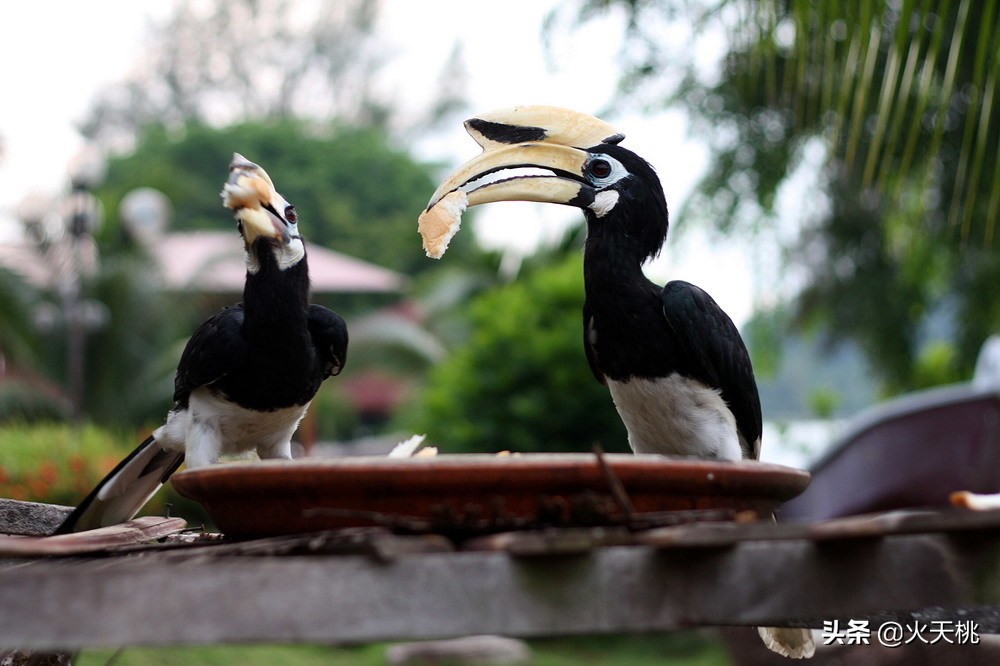 东南亚巴厘岛旅游攻略,旅游马来西亚几月去好
