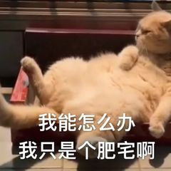 我只是个肥宅表情包,表情包我能插嘴吗