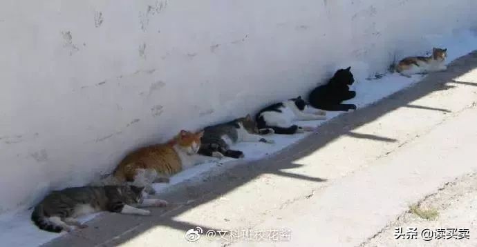 怎么样判断一个男生直不直男,怎么判断一个男的直不直男