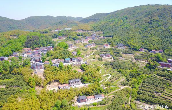 盛年不重来一日难再晨下一句,盛年不重来一日难再晨书法