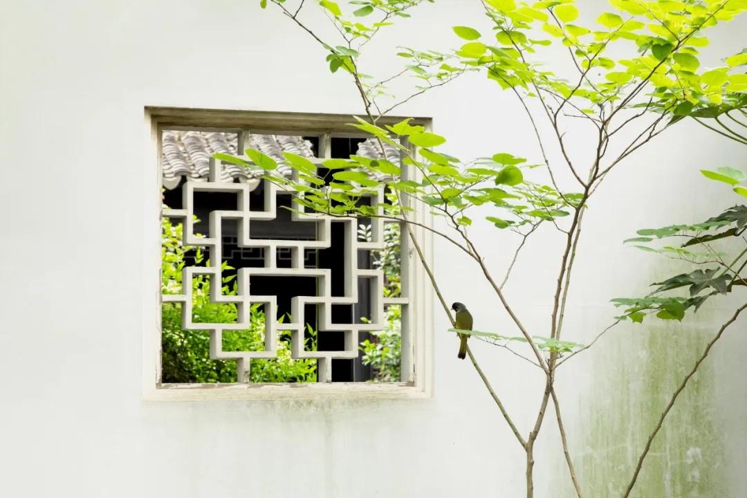 你出生的月份就能对应出一首诗,你几号出生就决定了你是不是学霸