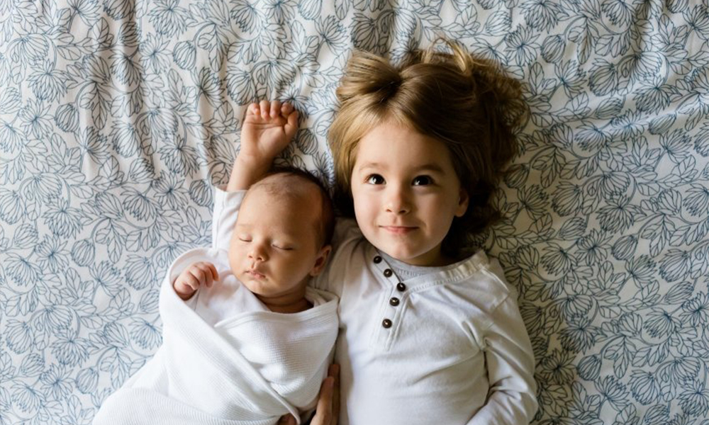 德国喜宝奶粉和a2奶粉哪个好,德国喜宝有机和荷兰喜宝哪个好