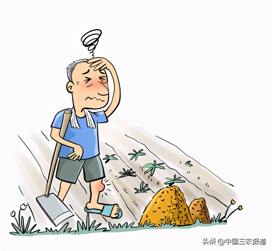 夏季当心这6种小虫被咬可能丧命,需要警惕的虫子