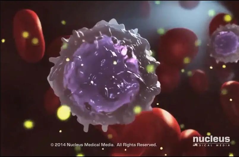 今天的艾滋病新闻,今天艾滋病最新进展