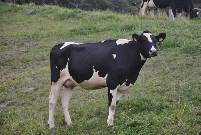 10个日本田园综合体案例,日本家庭生态农场如何建设