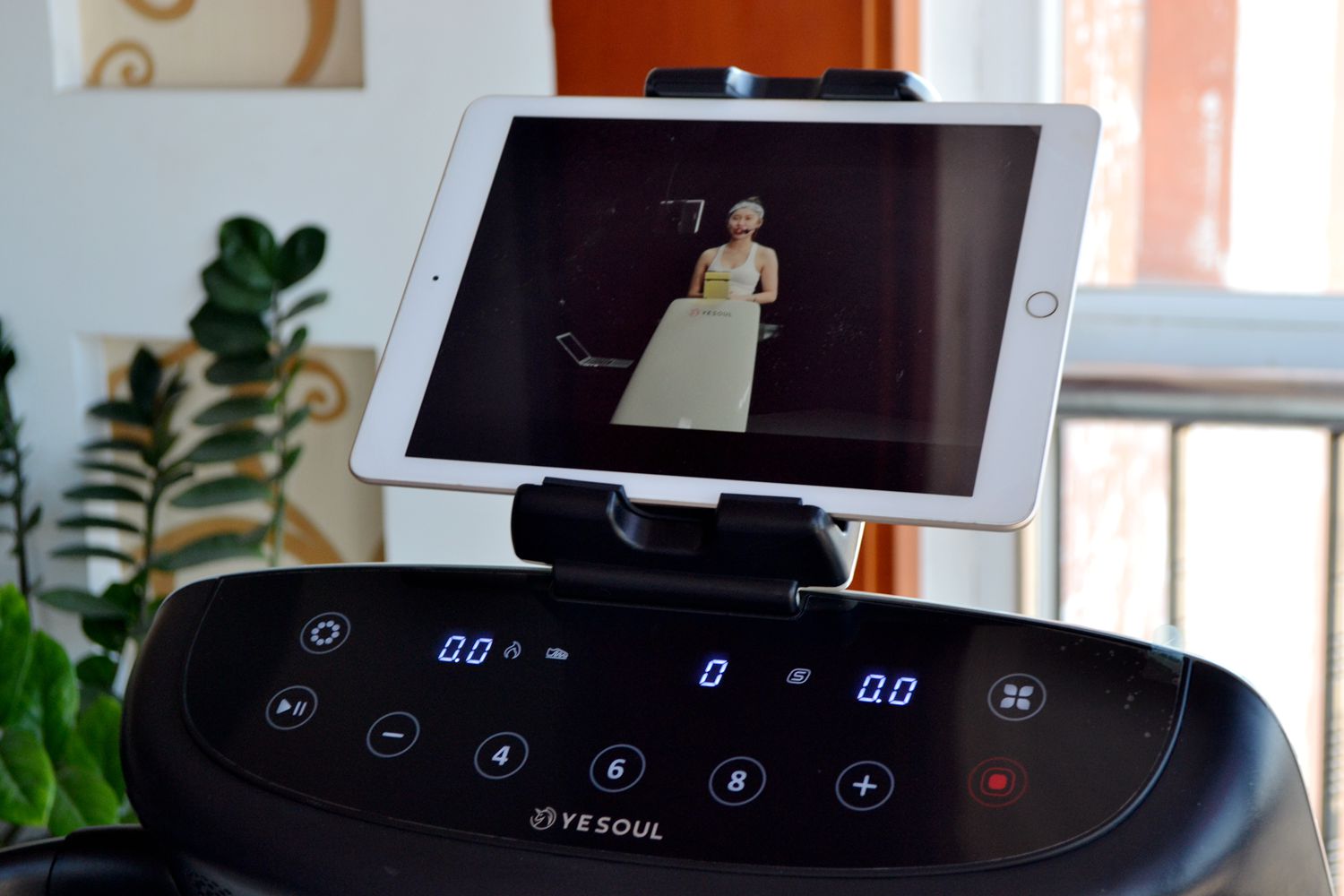 因为老罗入坑！入手了野小兽P30跑步机，坚持了半个月谈谈感受