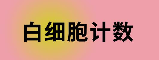 编程基础c++考试,编程入门c++数组题型讲解