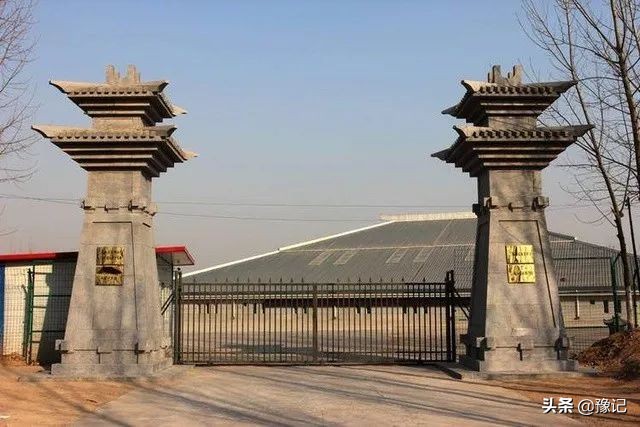 离了枣，内黄咋活？