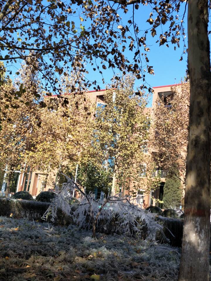 我的大学——河北政法