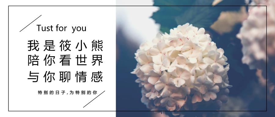 无意的遇见胜过刻意的安排,不要刻意的遇见谁和拥有谁