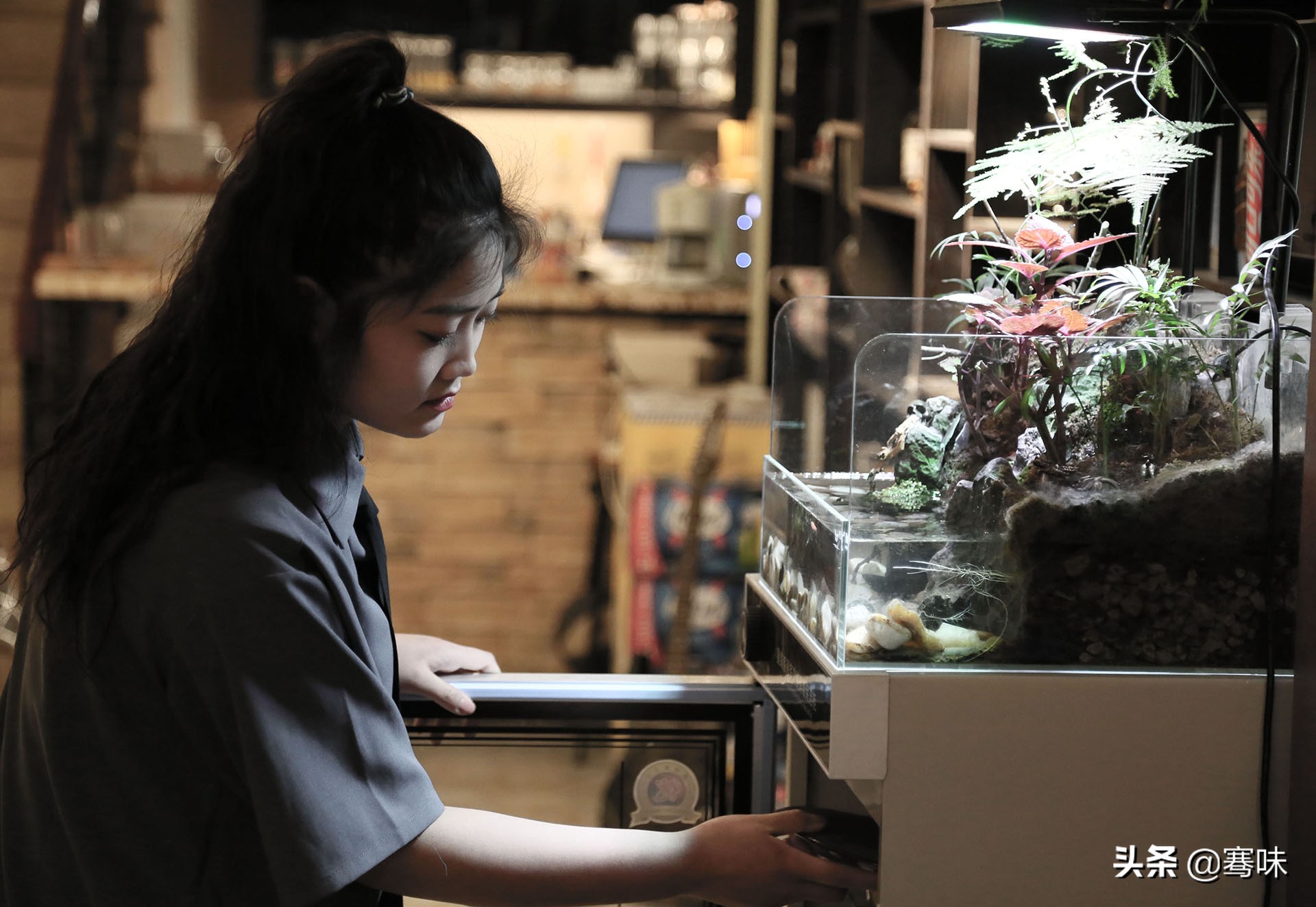 她叫镁月，一家西餐厅的服务员，她要活出酷酷的自己