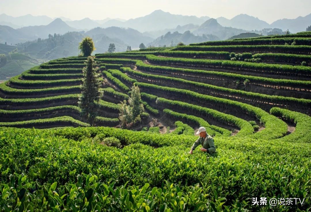 鍗㈡箾鍓戝湪鍝噷鎵惧埌,婀涘崲鍓戞湁鍑犱釜涓讳汉