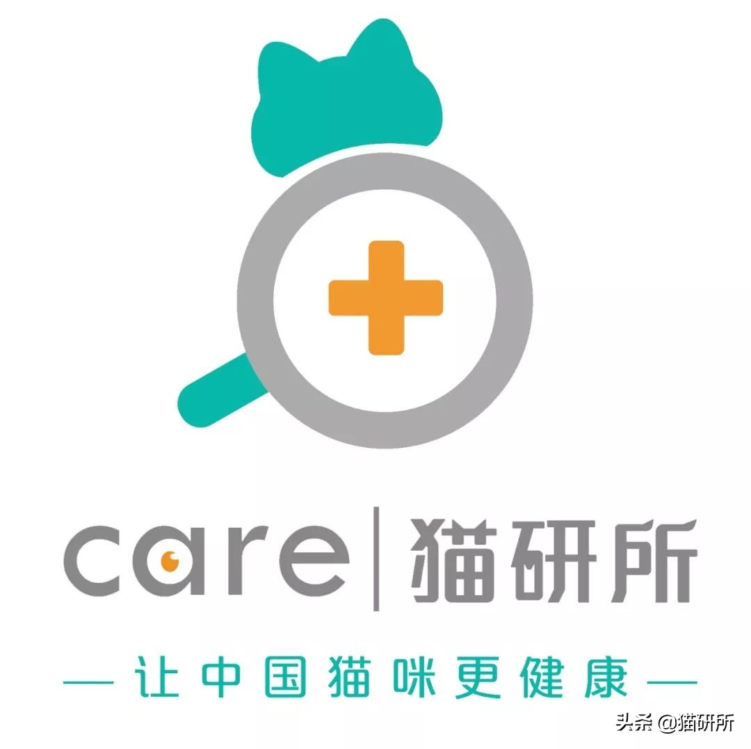 软骨素真的能保护关节吗,软骨素对关节炎有用吗