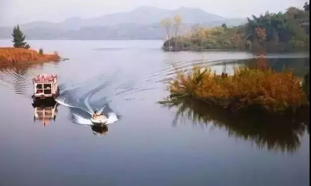 一泡而红！四川这座小城已火向全球，今天万人齐聚！