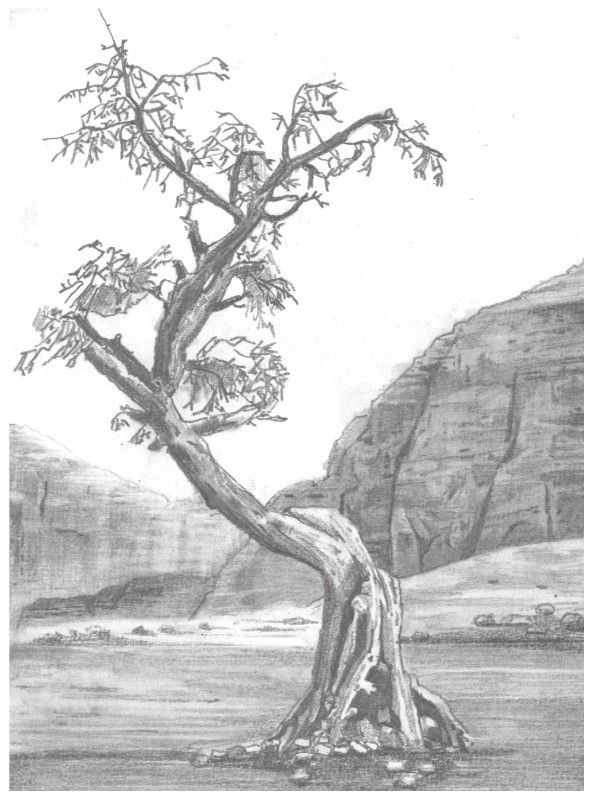 初学者画山石的方法,山水画入门基础画法