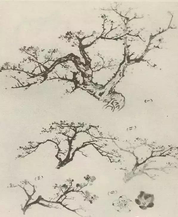 怎么画树最简单而且还最好看,怎么画树才更真实