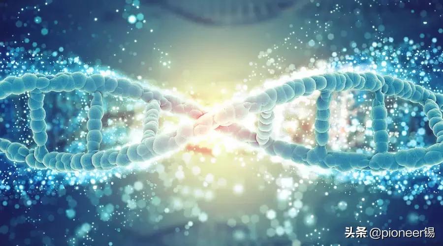 高考生物全汇总,高分攻略高考生物必看知识点