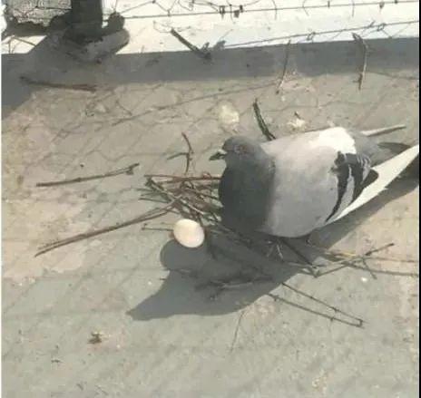 00后知道以前五一七天假吗,00后不知道00年代的事情