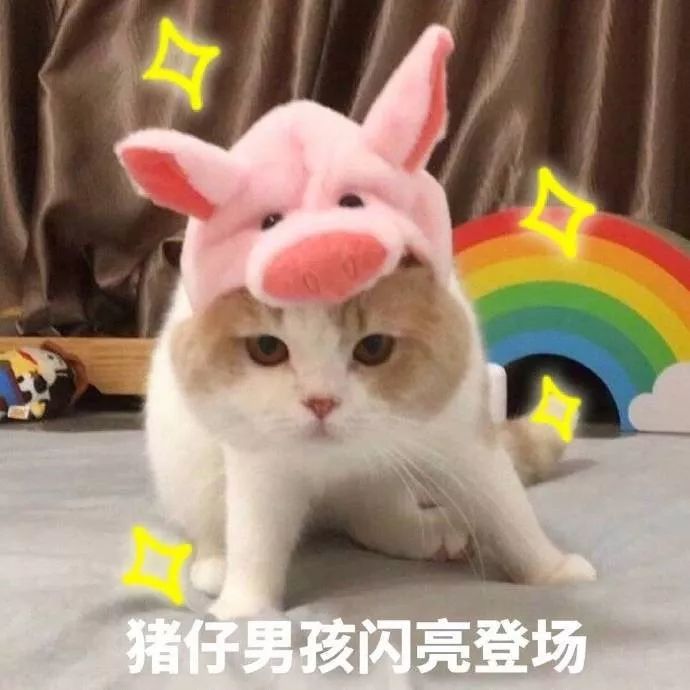 不同的脸型应该戴什么帽子,不同脸型适合的帽子冬季