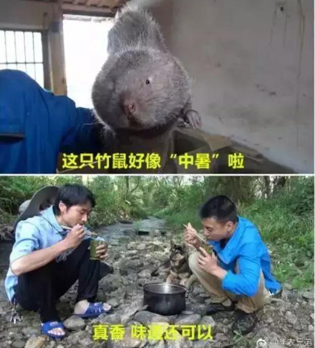 盘点十大意外去世网红,盘点四川十大网红