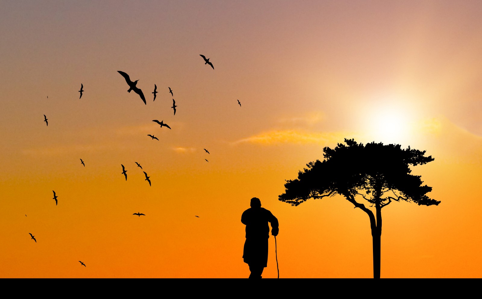 张雪峰谈满脑子都是山,张雪峰让齐齐哈尔大学涨了多少分