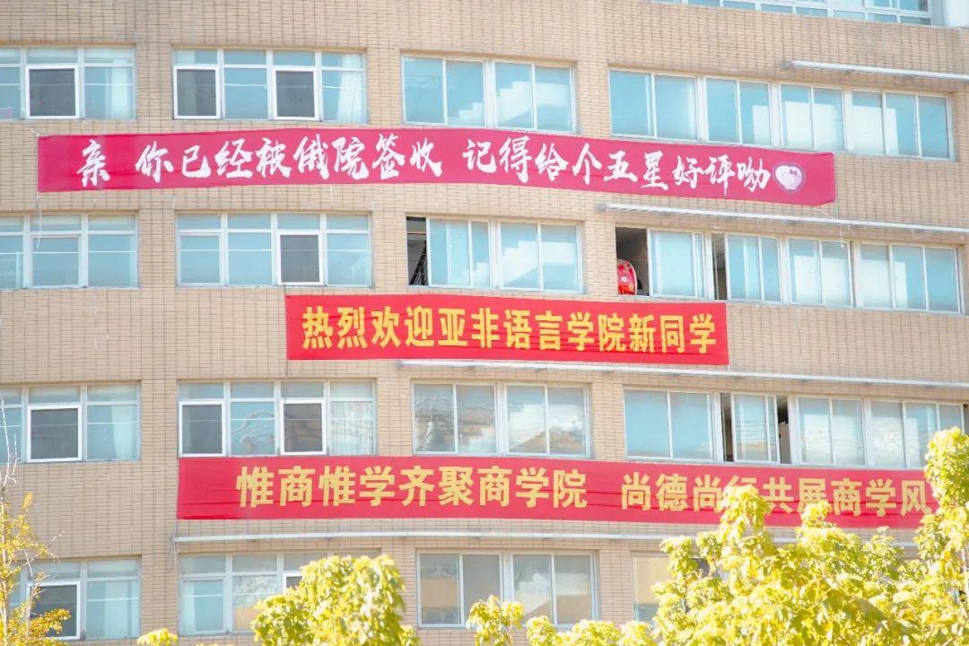 澶у杩庢柊,澶у杩庢柊鍥剧墖