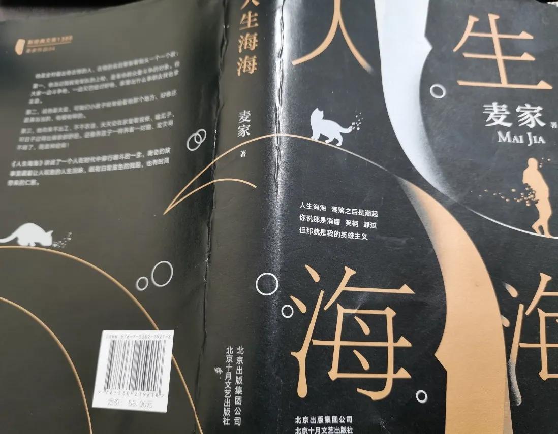 人生海海读书笔记,人生海海读后感手写版