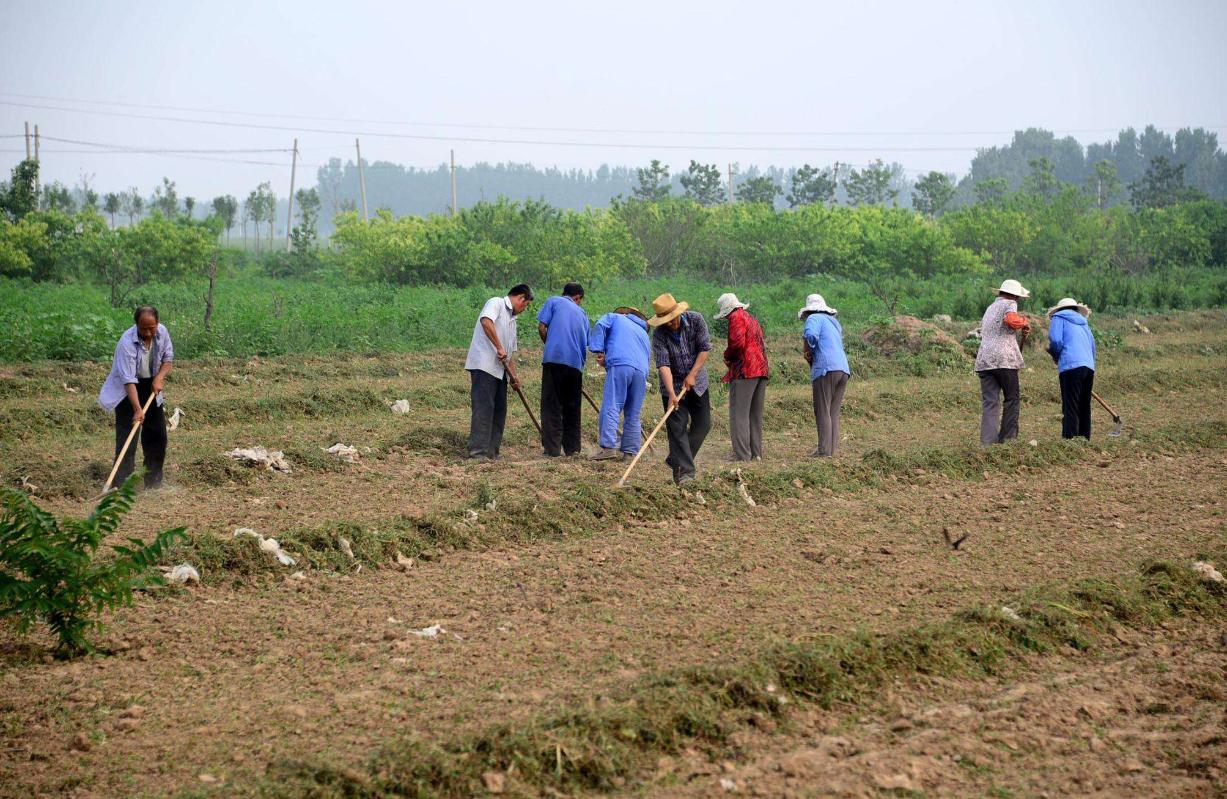 哈密土地荒废农民怎么活,农村土地荒废